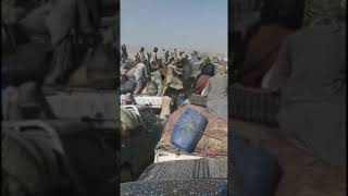 Poor masses fight each other for breed at | Iran Balochistan border | ایران باڈر پرغربت کے مارے عوام