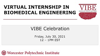 Virtual Internship in Biomedical Engineering (VIBE) Program Celebration