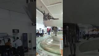 Surya namaskar at Delhi airport India #viral #shorts