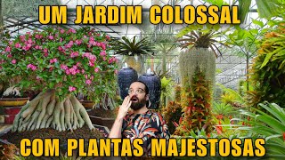 Visitei Jardins que não Parecem Reais - Eu nunca vou esquecer das plantas que eu vi - TAILÂNDIA