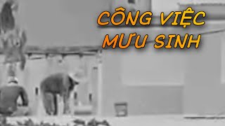 Công Việc Mưu Sinh Vì Miếng Cơm Manh Áo Đầy Vất Vả