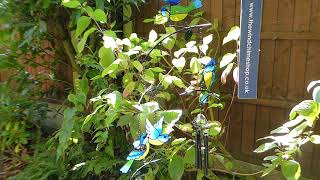 Blue Tits Mobile Wind Chime