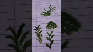 Leaf making tutorial ❤️ easy way to make Leaf 🌿#shorts #creativitywithaera #art #leaf #artcreativity