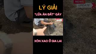 Lý giải chính thức về hiện tượng 'lửa ăn đất' gây xôn xao ở Gia Lai #shorts #tintuc #thoisu #tintức