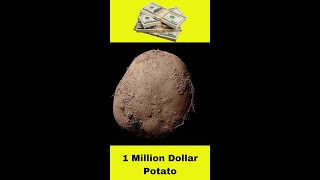 Million Dollar Potato Picture And Other Fun Facts!