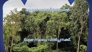 Plot for sale . ഒറ്റപ്പാലം തൃക്കം ങ്ങോട് റോഡിൽ 15 സെന്റ്‌ സ്ഥലം വിൽപ്പനക്ക് സെന്റിന് 2.50000 ലക്ഷം -