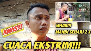 WASPADA!!!CUACA EKSTRIM BURUNG WAJIB MANDI 2 KALI SEHARI