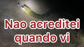 Era pra ser uma pescaria de traira mas,!!#pesca #pescaria #videodepescaria #peixe