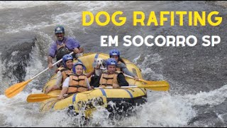 Rafiting com cachorro? Sim é possível