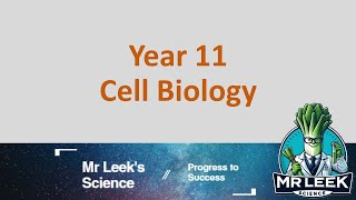 Year 11 Cell Biology revision questions