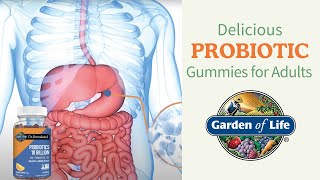 Dr. Formulated Probiotics 10 Billion Gummies