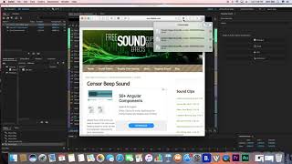 How to Bleep Vulgarity in Adobe Audition