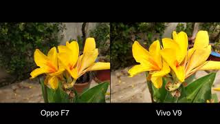 Oppo F7 Vs Vivo V9 Camera Test: vivo v9 vs oppo f7