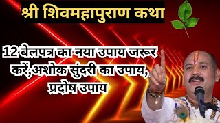 श्री शिवमहापुराण कथा (उत्तरप्रदेश), 12 बेलपत्र का नया उपाय ,अशोक सुंदरी पर करें,प्रदोष काल में