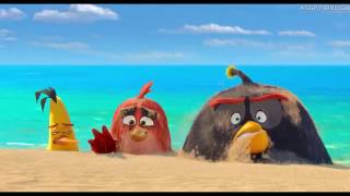 Angry Birds 2 💈 "Esos cerdos van a pagar nuestros almuerzos" 💈 AJClips 🐦