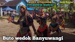 Jaranan Buto wedok Banyuwangi // Putro sritanjung live Palurjo