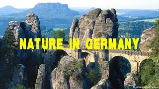 Stunning landscapes in Germany Dortmund #Germany #Dortmund #Nature #vlog 😍🌻🌼🌺🌸🏞️