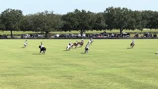 Polo Field race The Villages, Florida