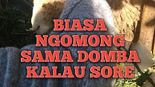 ISTRI BISA NGOMONG SAMA DOMBA BATUR 🤩