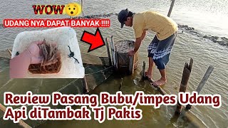 TERNYATA BEGINI...!!!! Cara Pasang Perangkap (Bubu) Udang Liar Di Tambak || Untuk Mancing Barramundi