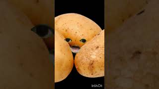 potato reaction 😊🔥🔥||#shortsvideo #funny #comedy video