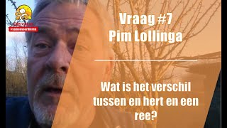 Vraag #7 DierenLot - Pim Lollinga