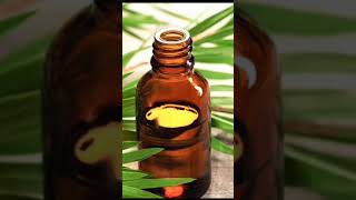 3 essential oil that promotes hair growth 💯💫.  #hairislife #short  #hairgrowthtips #essentialoils