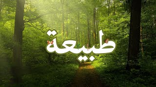 Nature vocabulary in Arabic (Levantine dialect)