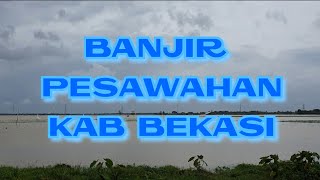 BANJIR PESAWAHAN KAB BEKASI "2021"