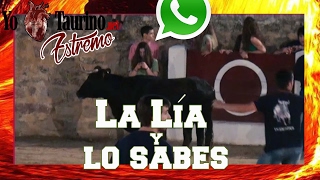 📱 📵 ¿Qué pasa si usas el móvil en los toros? Esperalo! 📵