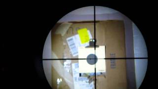 Crosman 2300T scope cam @ 10 meters