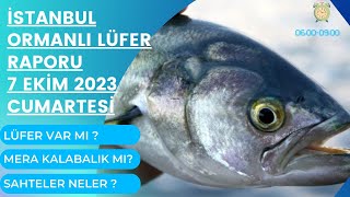 İSTANBUL LÜFER YAPIYOR MU ? / 07 EKİM 2023 ORMANLI BALIK RAPORU