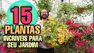 15 PLANTAS INCRÍVEIS para um JARDIM PERFEITO - Plantas perenes