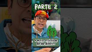 Malas Prácticas en el Arbolado: Parte 2❌🌲‼️ #plantas #arboles #naturaleza #arbolesnativos #árboles