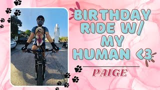 7th Birthday Ride w/ my Human | Fur Baby | Rad Cyclist