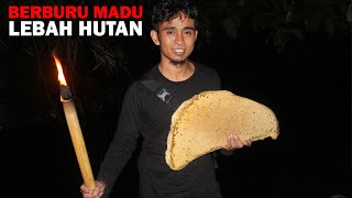 TERNYATA SULIT❗ Proses Pencarian Madu Lebah Hutan (Apis Dorsata)