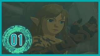 The Legend of Zelda: Tears of the Kingdom 100% Walkthrough - Part 1: Great Sky Island