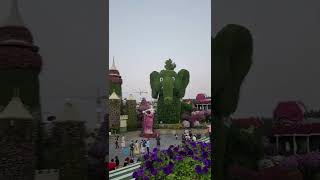 Miracle Garden , Dubai