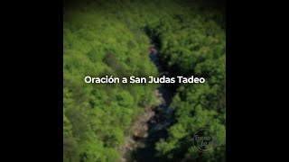 Oración a San Judas Tadeo para hacer una petición 🙏