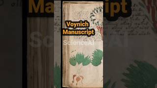 "The Unbreakable Code? Investigating the Voynich Manuscript's Cryptic Language"