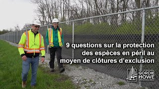 9 questions sur la protection des espèces en péril au moyen de clôtures d’exclusion