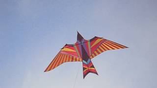 SKY BIRD KITE 244CM HOOG EN 480CM BREED