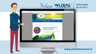 Noul site Profesor Wuxal