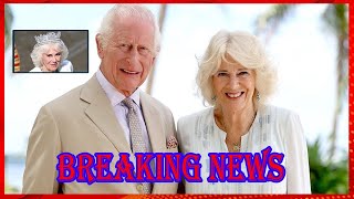 Britain’s Queen Camilla Cancels Royal Engagements Because of Illness