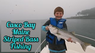 Striped Bass Fishing with Soft Plastics, Live and Chunk Bait