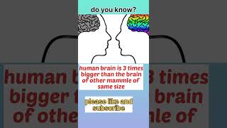 fact 73, size of brain