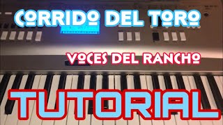 Corrido del Toro - Voces del Rancho (Melodia Tutorial en Teclado)