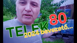 TELEK 80   2024   Bevezető