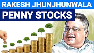 Penny stock of rakesh jhunjhunwala | Best penny stock to buy in 2021 | stock market india