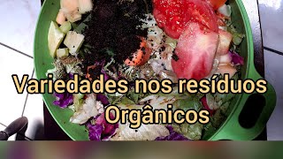 Minhocas X Resíduos orgânicos no pré composto.